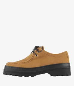 Clem derbies