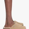 Danny mules