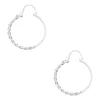 Darwin earrings