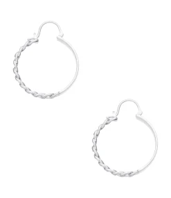Darwin earrings