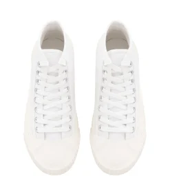 Iggy sneakers