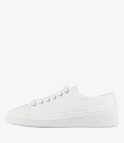 Plain 5