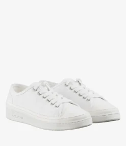 Plain 5
