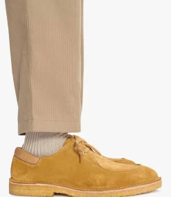 Theodore derbies