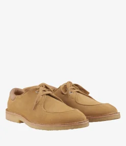 Theodore derbies