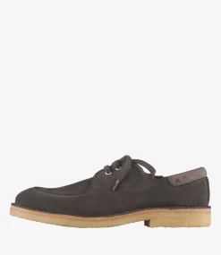Theodore derbies