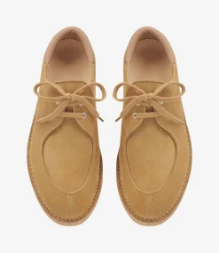 Theodore derbies