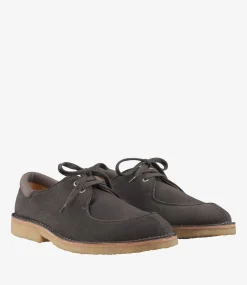 Theodore derbies